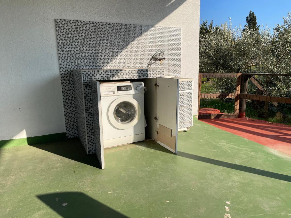 Tiziana Gallipoli